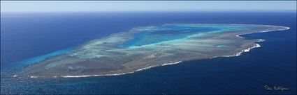 Fitzroy Reef - QLD (PBH4 00 18387)